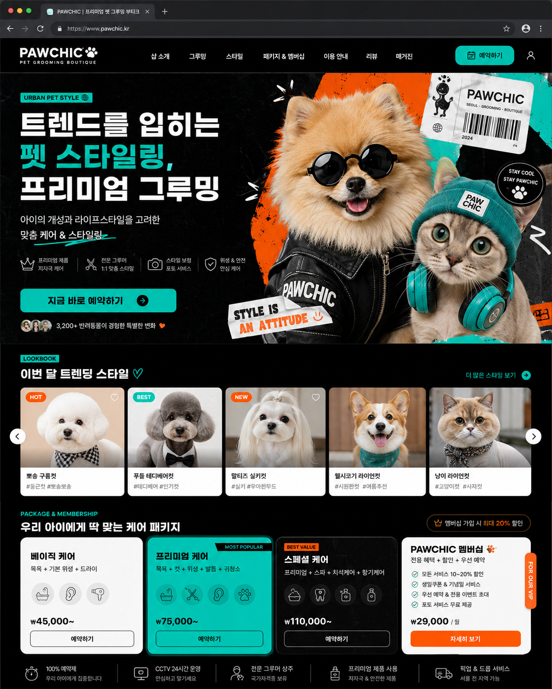 애견미용 템플릿 5
